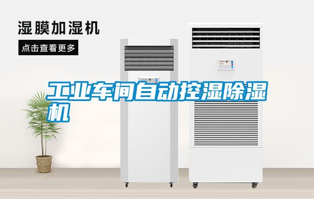 工業(yè)車(chē)間自動(dòng)控濕除濕機