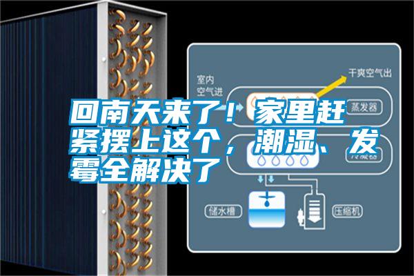 回南天來(lái)了！家里趕緊擺上這個(gè)，潮濕、發(fā)霉全解決了