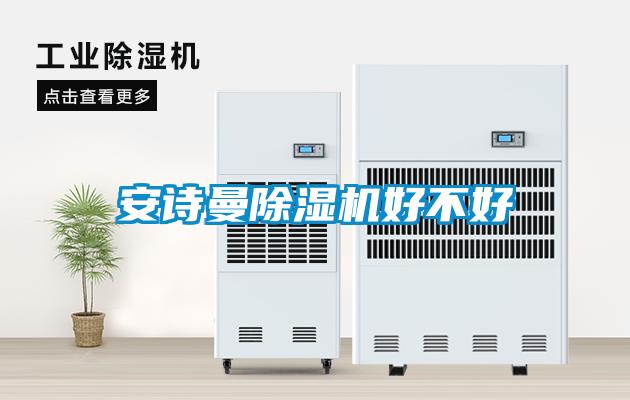 安詩(shī)曼除濕機好不好