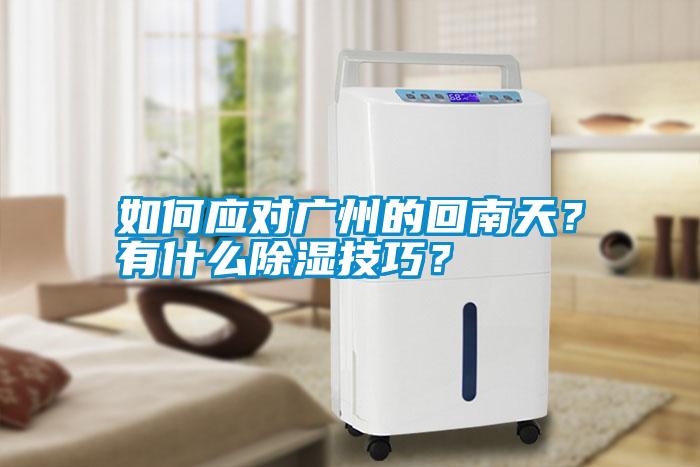 如何應對廣州的回南天？有什么除濕技巧？