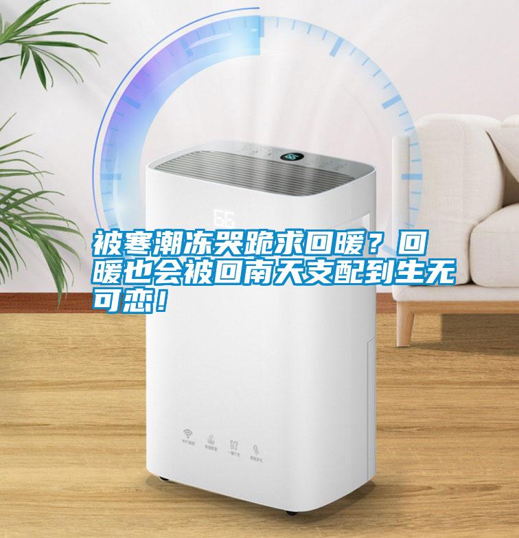 被寒潮凍哭跪求回暖？回暖也會(huì )被回南天支配到生無(wú)可戀！