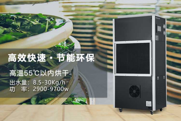 濕氣重的人，是不是更容易出汗？