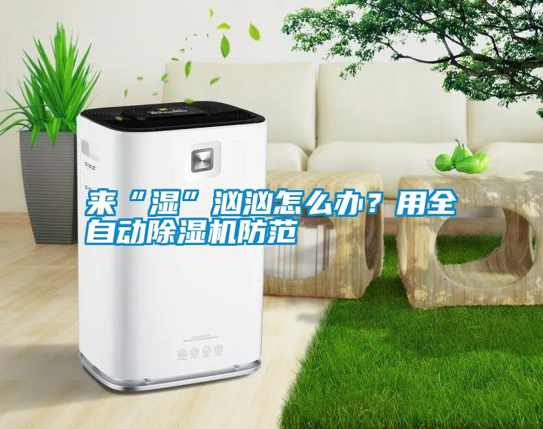 來(lái)“濕”洶洶怎么辦?用全自動(dòng)除濕機防范