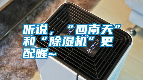 聽(tīng)說(shuō)，“回南天”和“除濕機”更配喔~