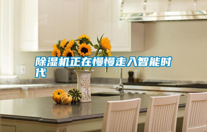 除濕機正在慢慢走入智能時(shí)代