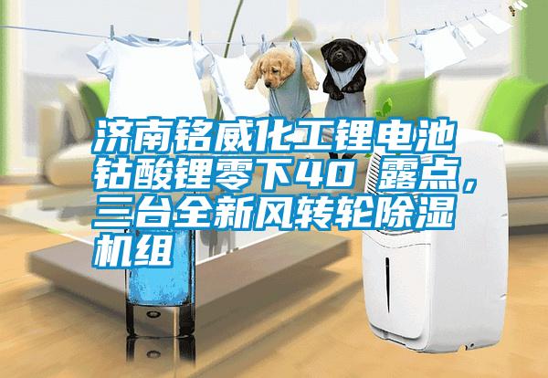 濟南銘威化工鋰電池鈷酸鋰零下40℃露點(diǎn)，三臺全新風(fēng)轉輪除濕機組