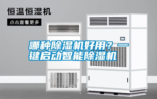 哪種除濕機好用？一鍵啟動(dòng)智能除濕機