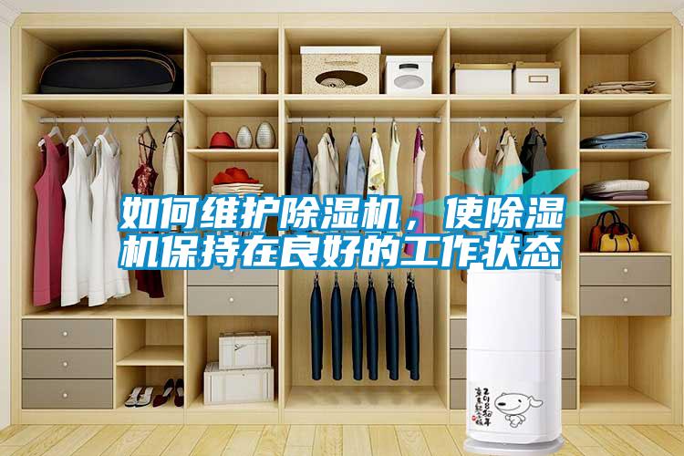 如何維護除濕機，使除濕機保持在良好的工作狀態(tài)