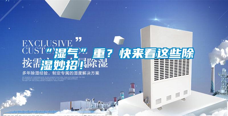 “濕氣”重？快來(lái)看這些除濕妙招！