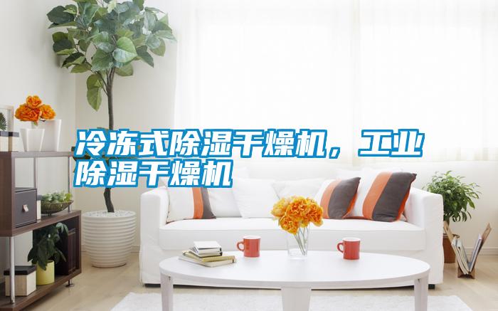 冷凍式除濕干燥機，工業(yè)除濕干燥機