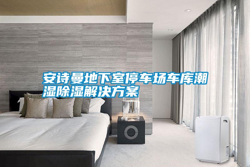 安詩(shī)曼地下室停車(chē)場(chǎng)車(chē)庫潮濕除濕解決方案