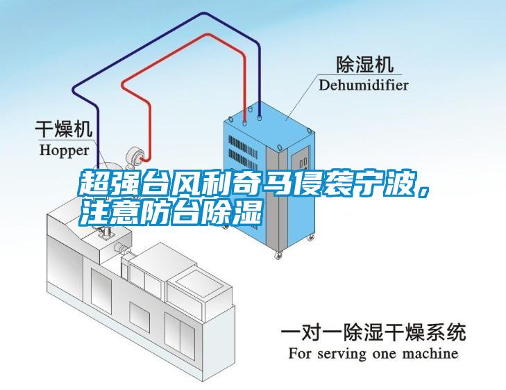 超強臺風(fēng)利奇馬侵襲寧波，注意防臺除濕