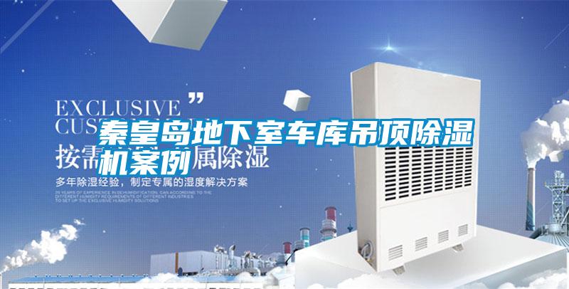 秦皇島地下室車(chē)庫吊頂除濕機案例