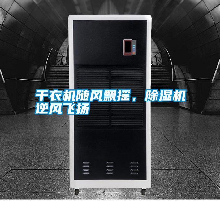 干衣機隨風(fēng)飄搖，除濕機逆風(fēng)飛揚