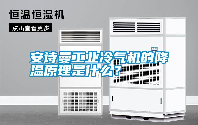 安詩(shī)曼工業(yè)冷氣機的降溫原理是什么？