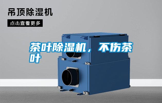 茶葉除濕機，不傷茶葉