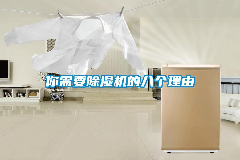 你需要除濕機的八個(gè)理由