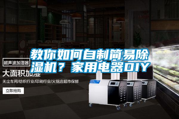 教你如何自制簡(jiǎn)易除濕機？家用電器DIY