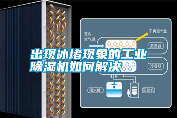 出現冰堵現象的工業(yè)除濕機如何解決
