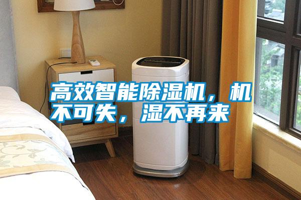 高效智能除濕機，機不可失，濕不再來(lái)