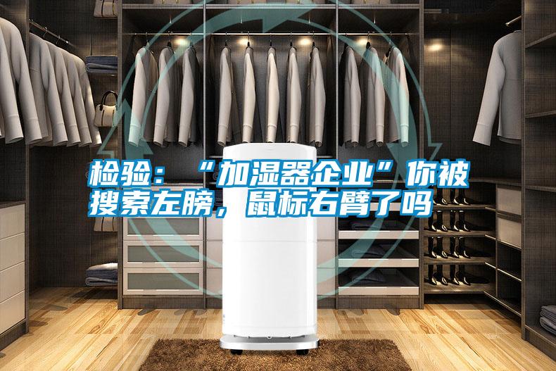 檢驗：“加濕器企業(yè)”你被搜索左膀，鼠標右臂了嗎