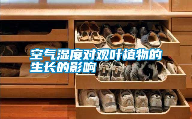空氣濕度對觀(guān)葉植物的生長(cháng)的影響
