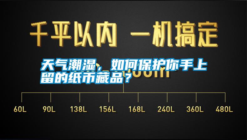 天氣潮濕，如何保護你手上留的紙幣藏品？
