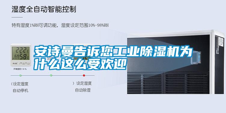 安詩(shī)曼告訴您工業(yè)除濕機為什么這么受歡迎