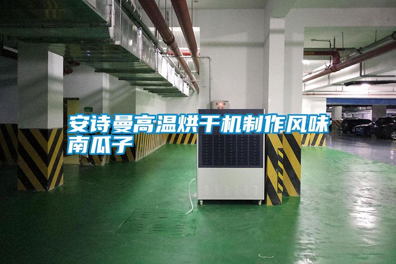 安詩(shī)曼高溫烘干機制作風(fēng)味南瓜子