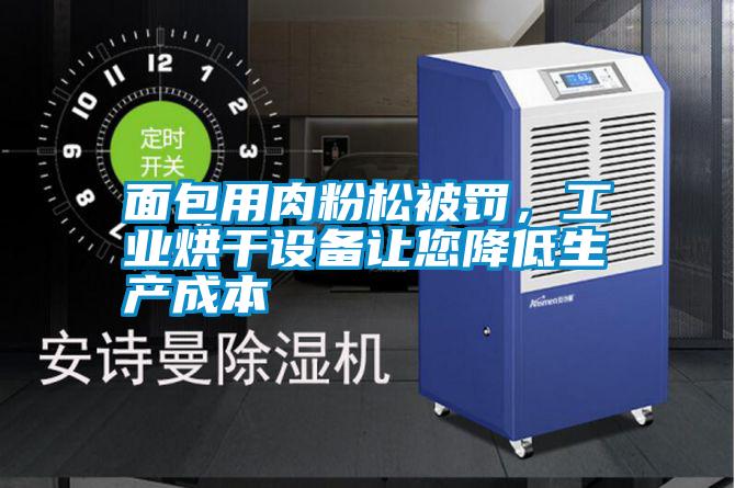 面包用肉粉松被罰，工業(yè)烘干設備讓您降低生產(chǎn)成本