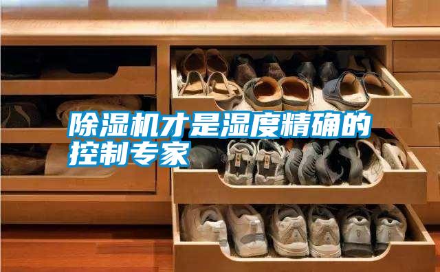 除濕機才是濕度精確的控制專(zhuān)家