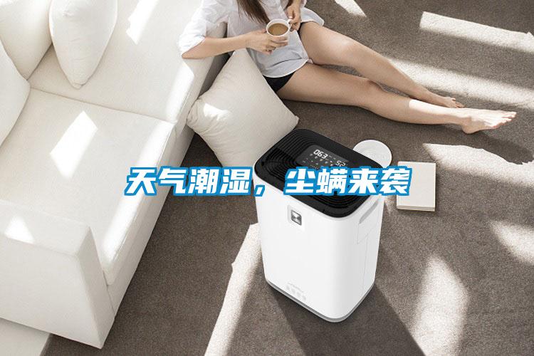 天氣潮濕，塵螨來(lái)襲
