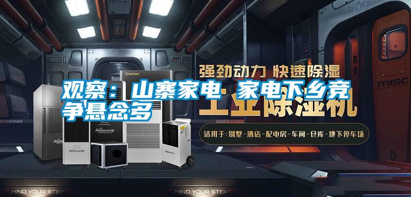 觀(guān)察：山寨家電 家電下鄉競爭懸念多