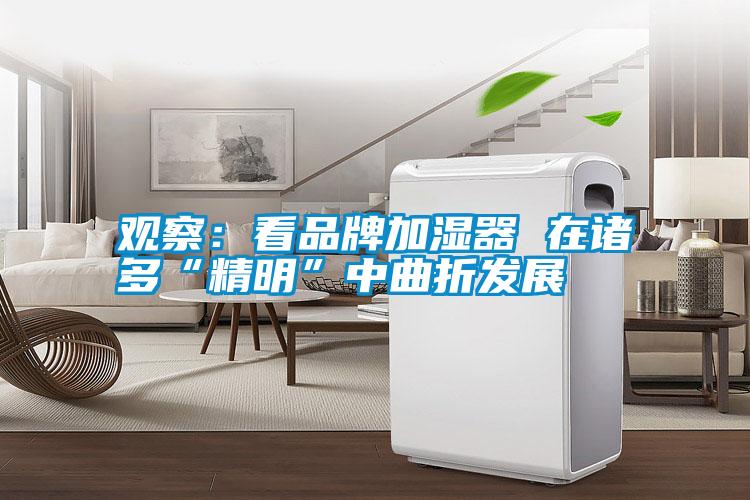 觀(guān)察：看品牌加濕器 在諸多“精明”中曲折發(fā)展