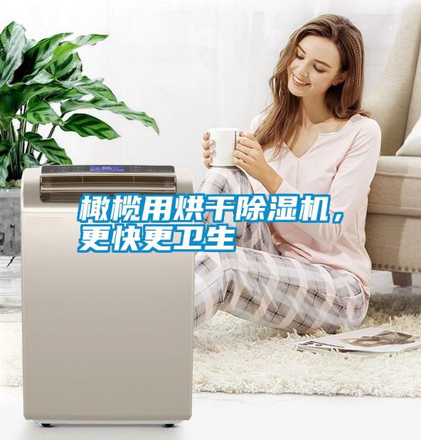 橄欖用烘干除濕機，更快更衛生