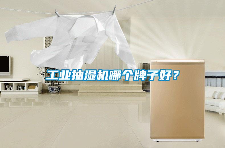 工業(yè)抽濕機哪個(gè)牌子好？