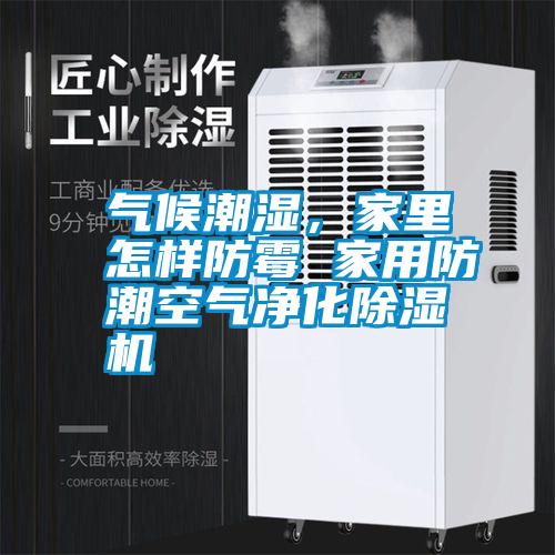氣候潮濕，家里怎樣防霉 家用防潮空氣凈化除濕機