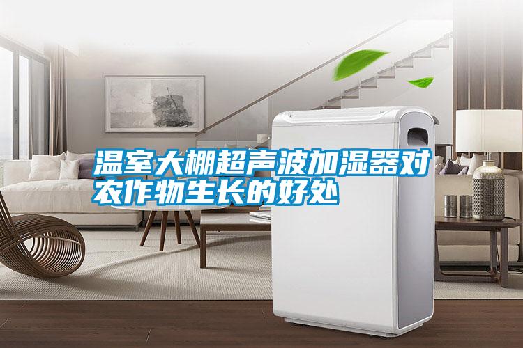 溫室大棚超聲波加濕器對農作物生長(cháng)的好處