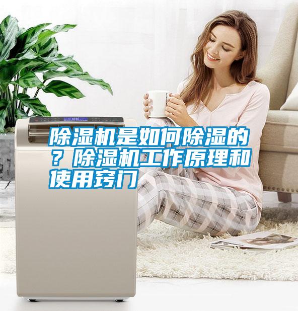 除濕機是如何除濕的？除濕機工作原理和使用竅門(mén)