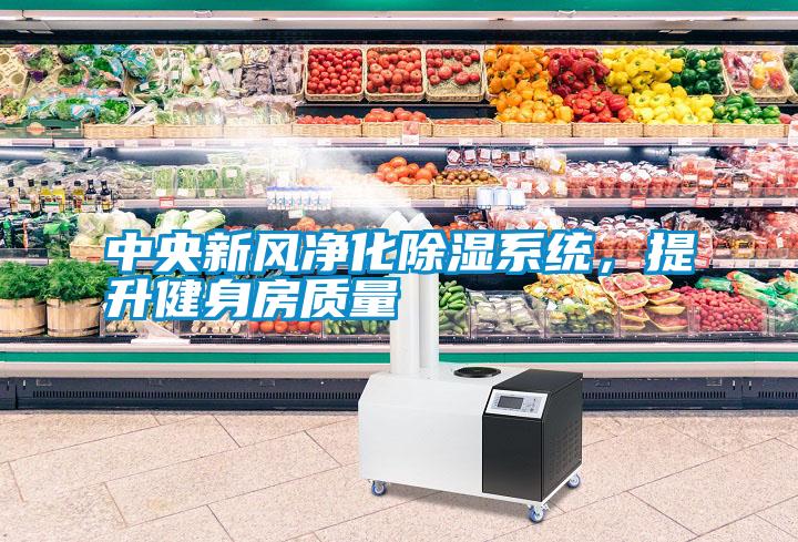中央新風(fēng)凈化除濕系統，提升健身房質(zhì)量