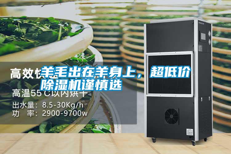 羊毛出在羊身上，超低價(jià)除濕機謹慎選