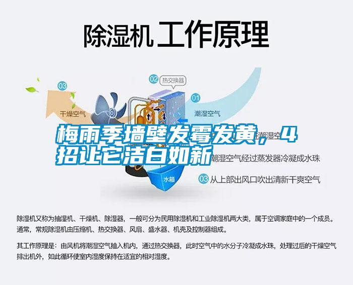 梅雨季墻壁發(fā)霉發(fā)黃，4招讓它潔白如新