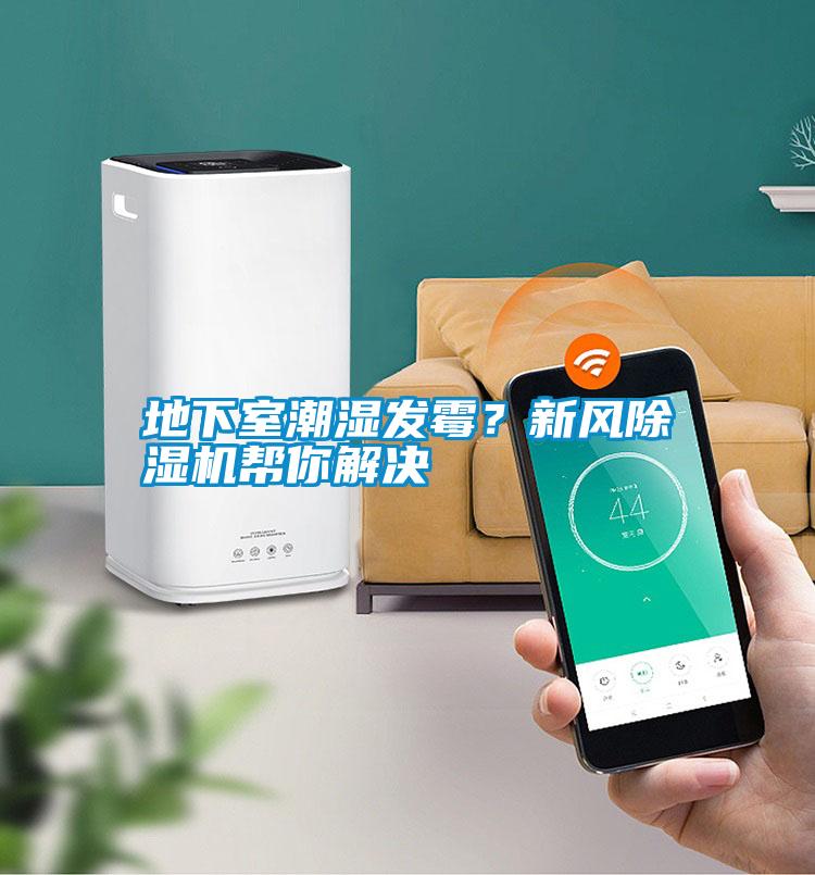 地下室潮濕發(fā)霉？新風(fēng)除濕機幫你解決