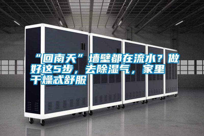 “回南天”墻壁都在流水？做好這5步，去除濕氣，家里干燥忒舒服