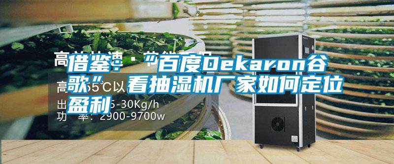 借鑒：“百度Dekaron谷歌” 看抽濕機廠(chǎng)家如何定位盈利