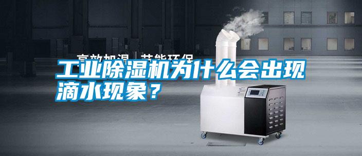 工業(yè)除濕機為什么會(huì )出現滴水現象？