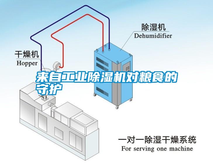 來(lái)自工業(yè)除濕機對糧食的守護