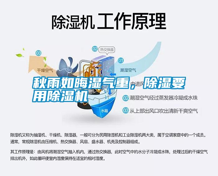 秋雨如晦濕氣重，除濕要用除濕機