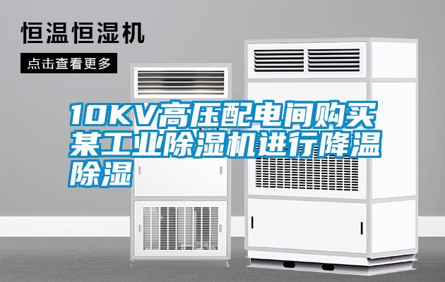 10KV高壓配電間購買(mǎi)某工業(yè)除濕機進(jìn)行降溫除濕