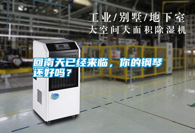 回南天已經(jīng)來(lái)臨，你的鋼琴還好嗎？